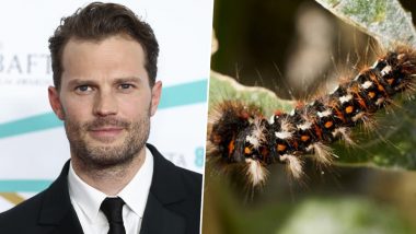Jamie Dornan Suffers Bizarre Heart Attack-like Symptoms Caused by Toxic Caterpillars in Portugal, Check out What Happened to Fifty Shades of Grey Actor!