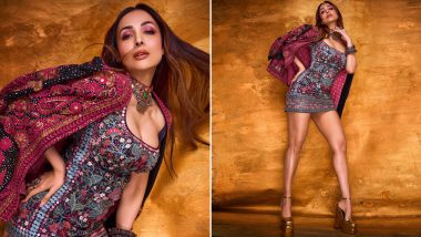 Malaika Arora Radiates Royalty With Hint of Sexiness in Multi-Embroidered Dress, Elevates Glam With a Striking Boho Neckpiece! (View Pics)