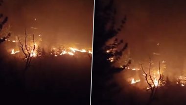 Manali Forest Fire: Property Worth Crores Burnt After Massive Blaze Erupts in Himachal Pradesh (Watch Video)
