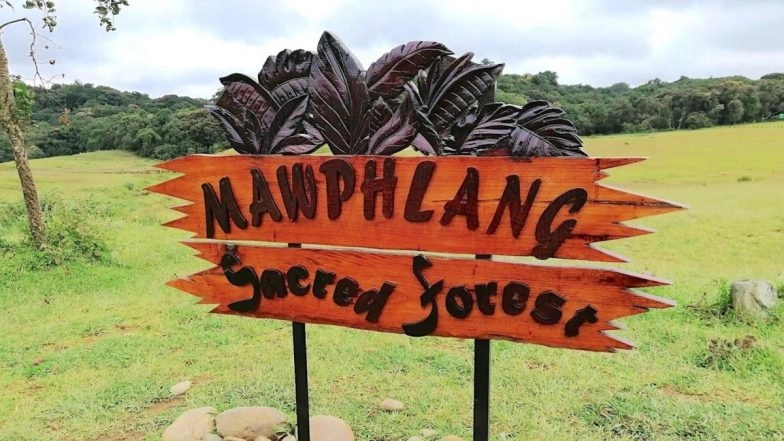 Meghalaya Statehood Day 2024: From Living Root Bridges to Mawphlang Sacred Forest, Visit These 5 Places To Experience the Best in Meghalaya