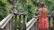 Monkey Tears Female Tourist's Passport in Bali's Sacred Monkey Forest As She Watches in Horror, Video Goes Viral