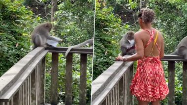 Monkey Tears Female Tourist's Passport in Bali's Sacred Monkey Forest As She Watches in Horror, Video Goes Viral