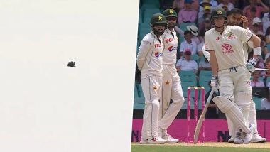 Bizarre! Play Stopped After Piece of Tape Distracts Steve Smith at SCG During Australia vs Pakistan 3rd Test 2023 Day 3 (Watch Video)