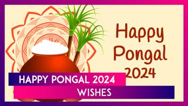 Pongal 2024 Wishes: WhatsApp Messages, Greetings, Quotes and Images To Share With Family and Friends
