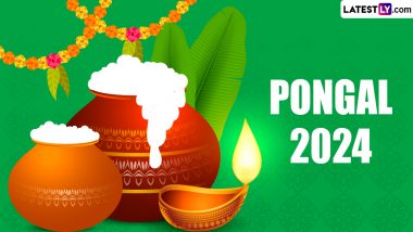 Pongal 2024: Harvest Festival Pongal Celebrated in Tamil Nadu With Fervour, DMK Leader Udhayanidhi Stalin Extends Tamil New Year Greetings (Watch Videos)