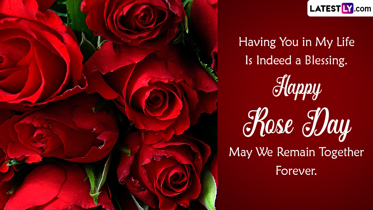 Rose Day 2024 Wishes and Valentine's Day Greetings in Advance: WhatsApp ...