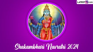 Shakambhari Navratri 2024 Date, Rituals & Significance: When Is Banada Ashtami? Everything You Need to Know about the celebration of Sustenance & Nourishment