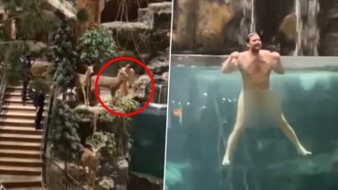 US Shocker: Man Strips Naked, Dives Into Fish Aquarium at Bass Pro Shop in Alabama Before Being Arrested (Watch Video)