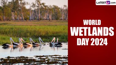 World Wetlands Day 2024 Date And Significance: Know About The Day That Highlights The Importance Of Wetlands
