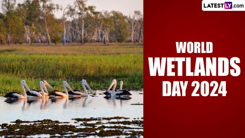 World Wetlands Day 2024 Date And Significance Know About The Day That   World Wetlands Day 2024 784x441 