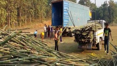 Ram Mandir Consecration Ceremony: 7000 Pieces of Bamboo Sent to Ayodhya From Assam Ahead of Ram Temple Opening on January 22