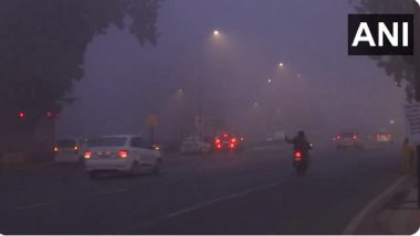 Delhi Weather Update: Dense Fog Reduces Visibility, Flights Delayed As National Capital Wakes Up to Bitterly Cold Sunday Morning (Watch Videos)