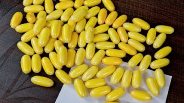 Mumbai: Two Nigerian Nationals Arrested With Rs 9 Crore Drugs in Saki Naka, Case Registered