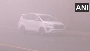 Weather Update: Dense Fog Engulfs Delhi-NCR; 100 Flights, 22 Trains Delayed Due to Low Visibility