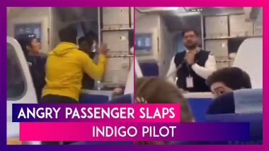 Angry Passenger Slaps IndiGo Pilot: Flier Hits Pilot Over Delay Of Delhi-Goa Flight; Police Complaint Filed