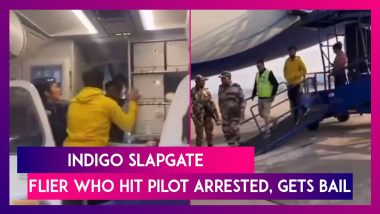 IndiGo Slapgate: Flier On Delhi-Goa Flight Who Hit Pilot After Several Hours’ Delay Arrested, Gets Bail