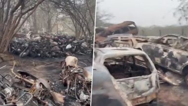 Delhi Fire: Over 400 Vehicles Parked in Police Training School Catch Fire in Wazirabad, Probe On (Watch Video)
