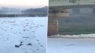 Maharashtra: Thick Layer of Toxic Foam Floats on Surface of Indrayani River in Pune (Watch Video)