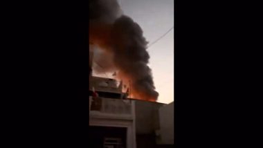 Delhi Fire: Three Killed After Blaze Erupts in Paint Factory in Alipur (Watch Video)