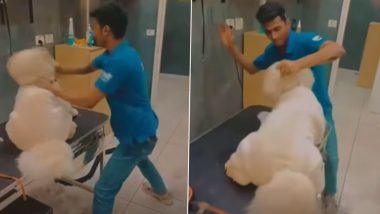 Animal Cruelty in Thane: Vetic Pet Clinic Employee Punches, Kicks Dog During Grooming Session; Animal Lovers Demand Stringent Action After Video Goes Viral
