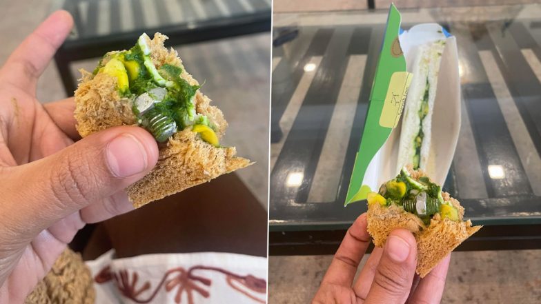 Indigo Passenger Finds Screw in Sandwich Served To Him on Flight, Cabin Crew's Reply Spark Outrage