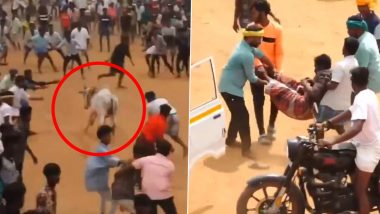 Jallikattu in Tamil Nadu: Several Injuries Reported During Bull-Taming Event in Sivaganga; Disturbing Video Surfaces