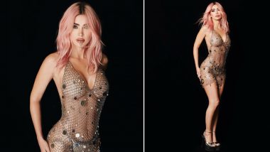Megan Fox Goes Bold in See-Through Chainmail Dress, Shares Her Stunning Look From Grammys Viewing Party (See Photos)