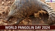World Pangolin Day 2024 Date, History and Significance: Know About the International Event That Raises Awareness About Pangolins