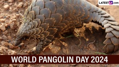 World Pangolin Day 2024 Date, History and Significance: Know About the International Event That Raises Awareness About Pangolins