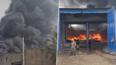Delhi Fire Video: Blaze Erupts at Shoe Factory in Alipur, Multiple Fire Tenders Dispatched