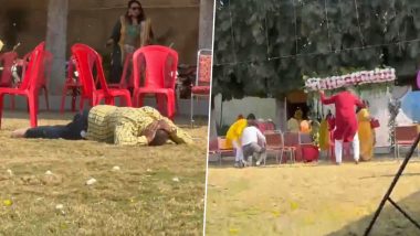 Bee Attack in Guna: Wedding Turns Nightmare As Swarm of Bees Attack Guests in Madhya Pradesh, Video Surfaces