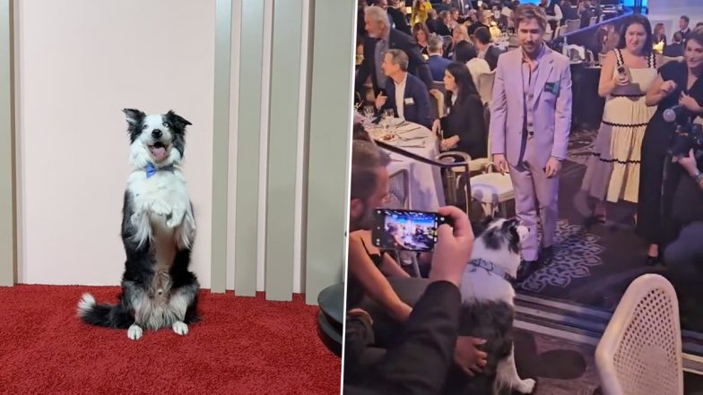 Oscars 2024 Luncheon: Messi, Anatomy of a Fall's Breakout Star, Joins The Party, See Ryan Gosling's Enthused Reaction on Meeting Canine Actor! (Watch Video)