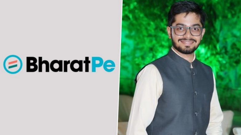 Delhi High Court Disposes Appeal Against Single Judge’s Rejection of Restraining Order on BharatPe’s Grover Over Unpaid Shares: Report