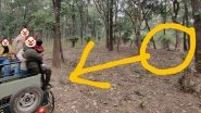 Uttarakhand: Irresponsible Tourists Sit Inside Open-top Jeep Along With Toddler at Close Distance From Tiger During Jungle Safari, Dehradun Man's Post on &lsquo;Foolish Stunt&rsquo; Goes Viral