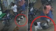 Dog Attack Video: Man Gets Bitten by Stray Dog on Roadside, Brave Woman Jumps in to Rescue Latter