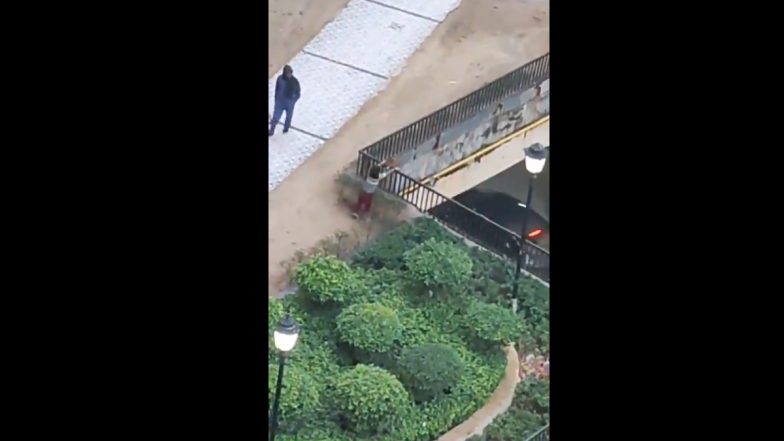 Puppy Dies After Being Thrown by Minor Boy From High-Rise in Greater Noida, FIR Registered After Video Goes Viral