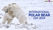 International Polar Bear Day 2024 Date, Significance and History: A Day Dedicated to Raising Awareness About the Conservation Status of the Polar Bear