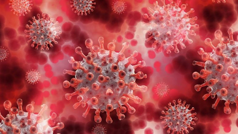 미국의 노로바이러스 공포: 최근 질병통제예방센터(CDC) 데이터에 따르면 구토와 설사를 일으키는 전염병이 북동부 지역에 퍼지고 있습니다.