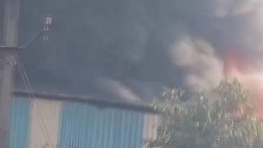 Uttar Pradesh Fire: Massive Blaze Erupts at Chemical Factory in Meerut (Watch Video)