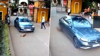 Dog Crushed by Luxury Car in Goa: Canine Dies After Being Run Over By Mercedes In Agassaim, Disturbing Video Surfaces