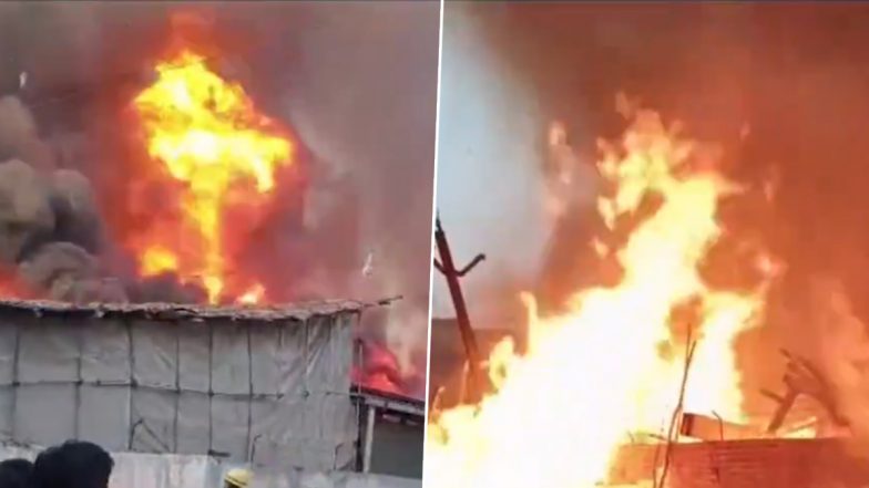 Gujarat Fire: Massive Blaze Erupts at Packaging Company in Bharuch, Fire Tenders Present at Spot (Watch Video)