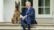 US President Joe Biden’s Pet Dog Bit Secret Service Agents 24 Times: Report