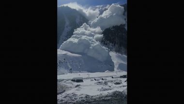 Avalanche in Sarbal Pic and Video: Massive Snowslide Hit Jammu and Kashmir's Sonamarg