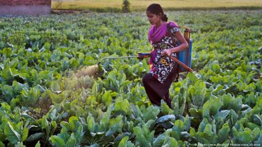 What Are Natural Pesticides?