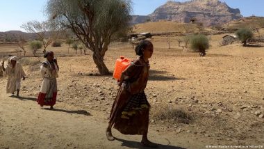 Ethiopia's Food Crisis Needs Long-term Solutions