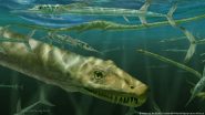 Scientists Unveil 240-million-year-old Dragon-like Reptile
