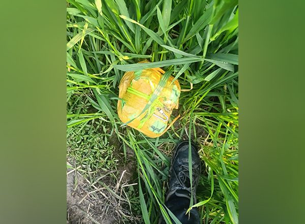 India News | Punjab: Over 3 Kg Heroin Seized in BSF-STF Joint Operation