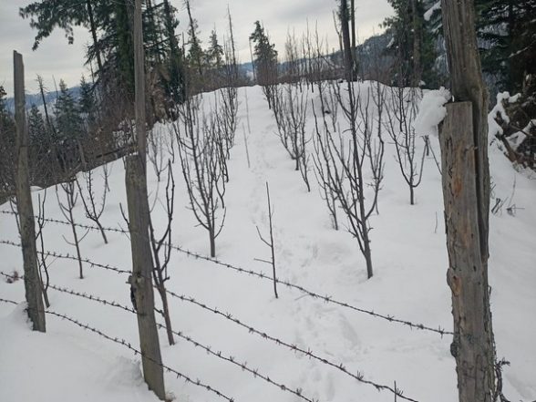 India News | Himachal Pradesh: 475 Roads Blocked; Power and Water Schemes Disrupted Due to Snowfall - Vimarsana News
