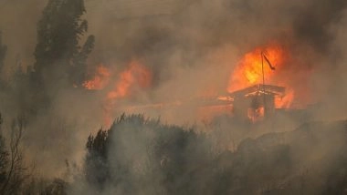 World News | Death Toll Rises to 64 as Wildfires Continue to Wreak Havoc in Chile
