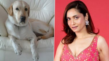 Bigg Boss 17's Ankita Lokhande Mourns the Demise of Her Pet Dog Scotch, Writes 'Mamma Will Miss You'